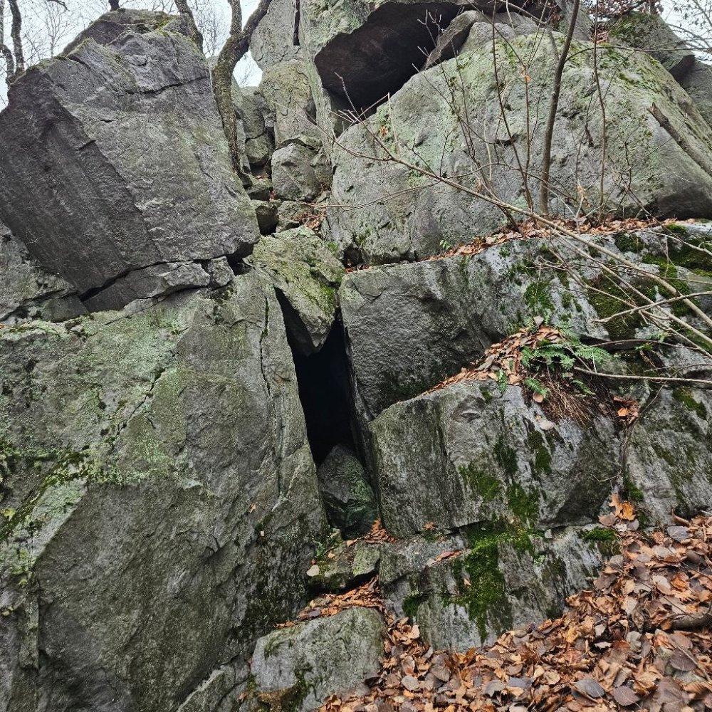 Meet your Posher, Josephine